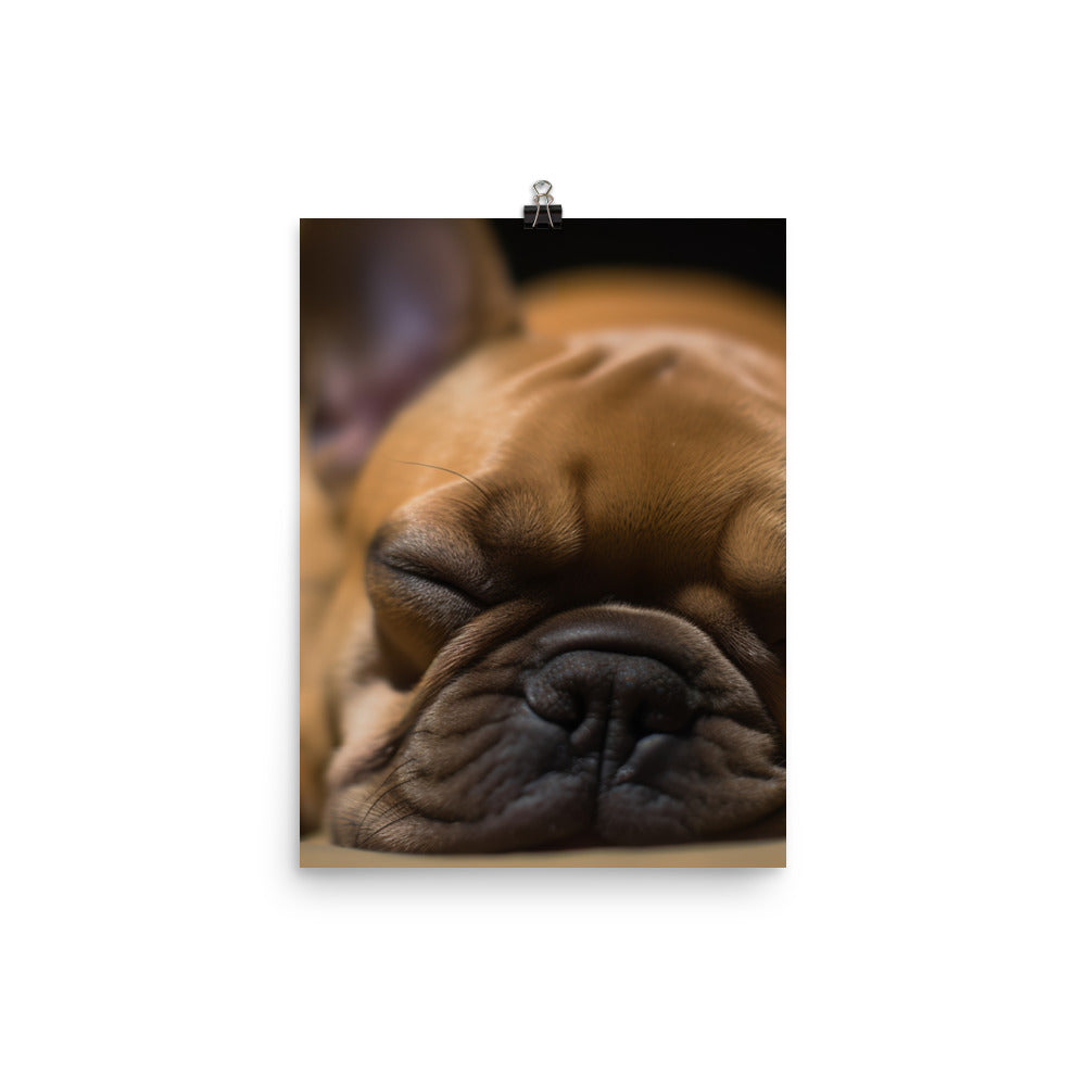 Frenchie dreams Photo paper poster - PosterfyAI.com