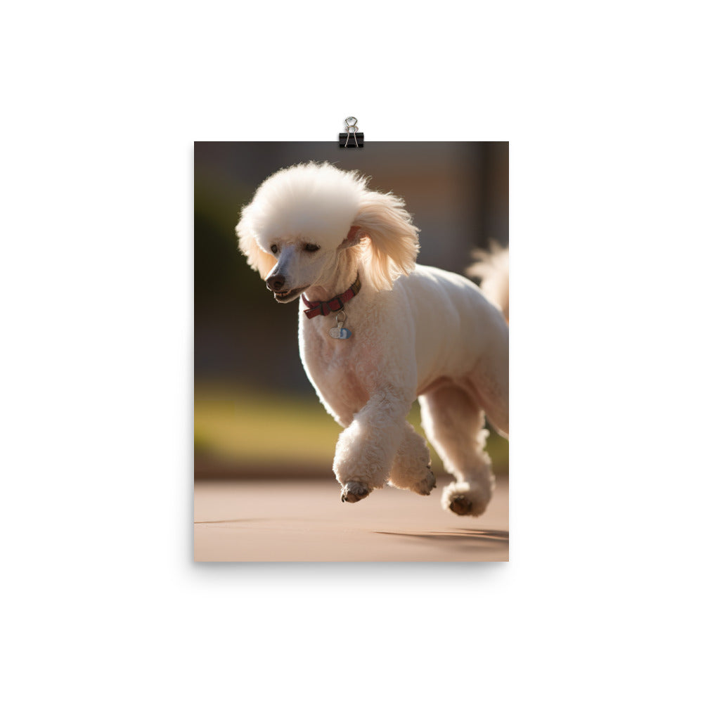 Elegant Poodle Stroll Photo paper poster - PosterfyAI.com