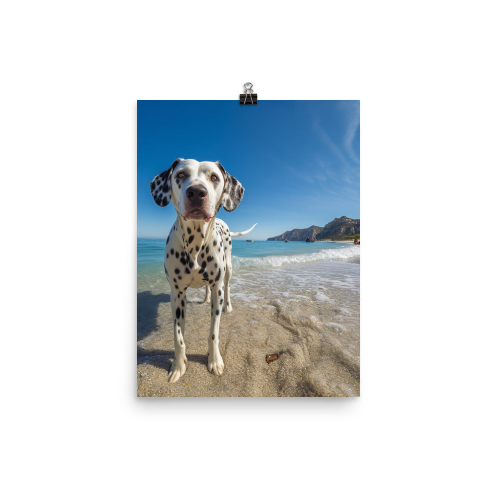 Dalmatian on the Beach Photo paper poster - PosterfyAI.com