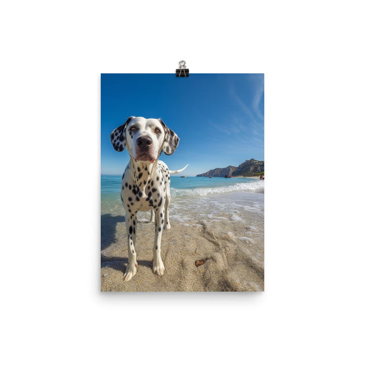 Dalmatian on the Beach Photo paper poster - PosterfyAI.com