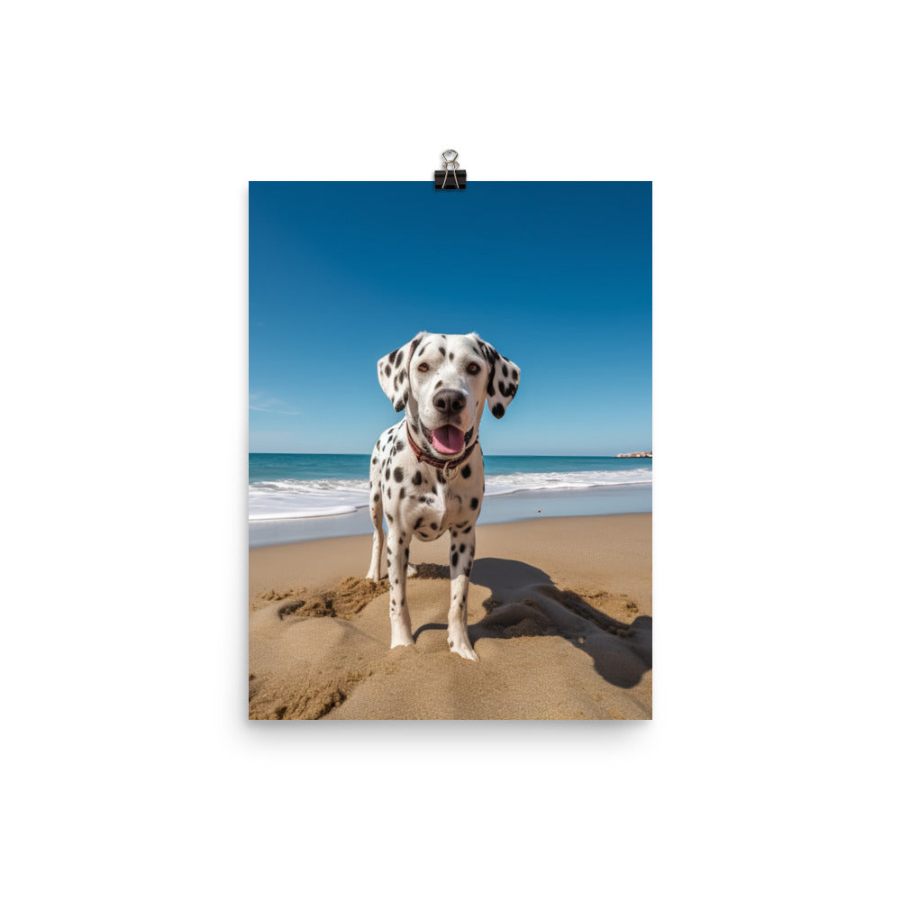 Dalmatian on the Beach Photo paper poster - PosterfyAI.com