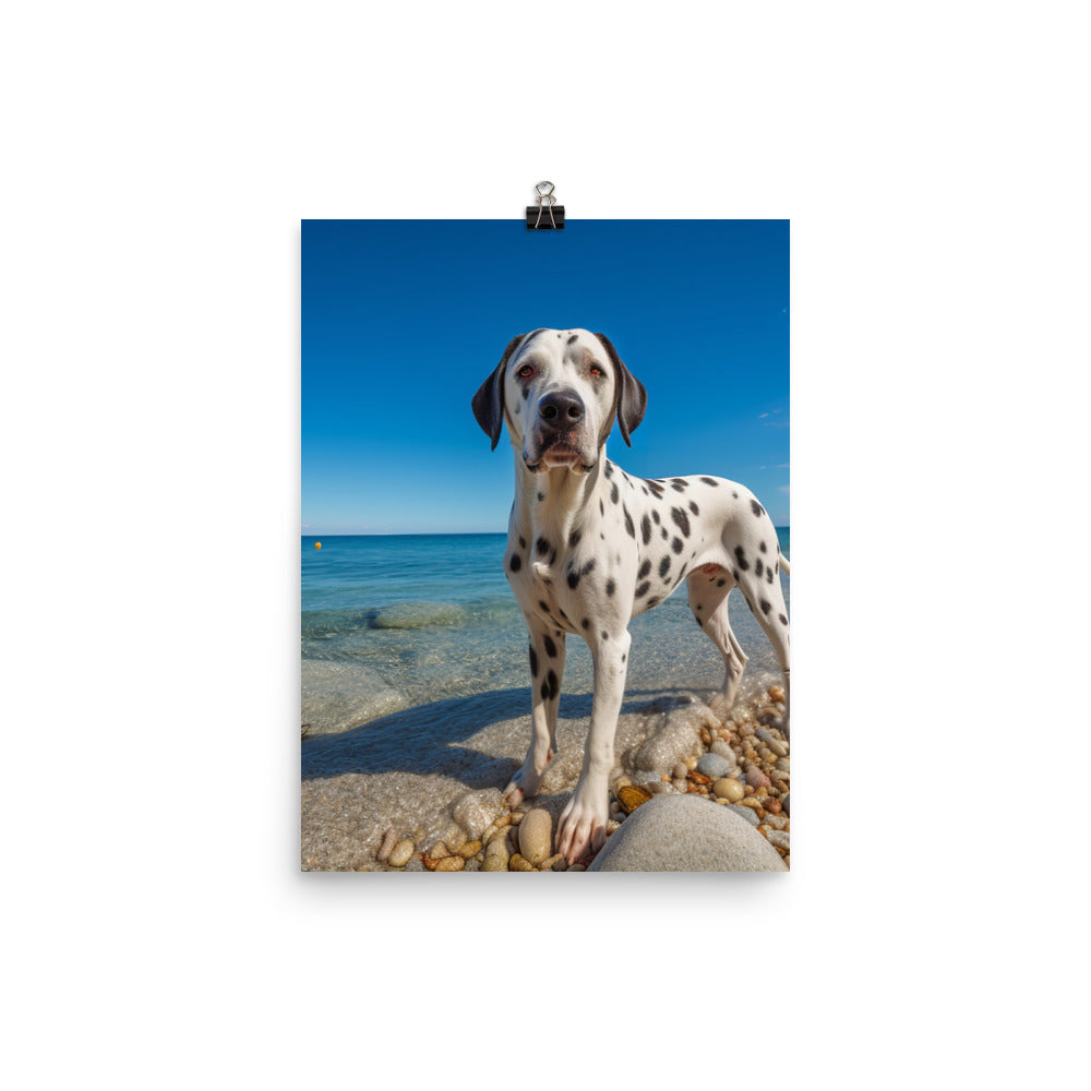 Dalmatian on the Beach Photo paper poster - PosterfyAI.com