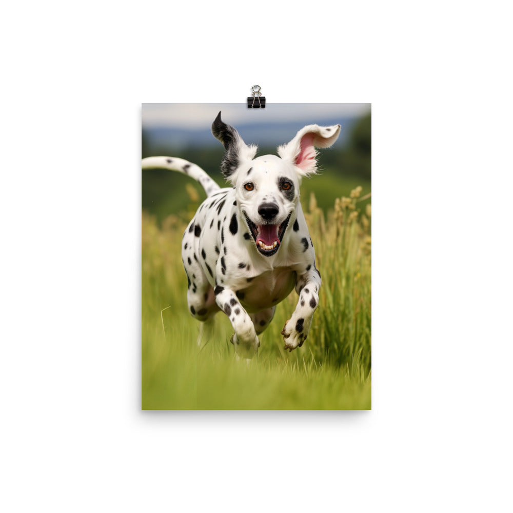 Dalmatian in Action  Photo paper poster - PosterfyAI.com