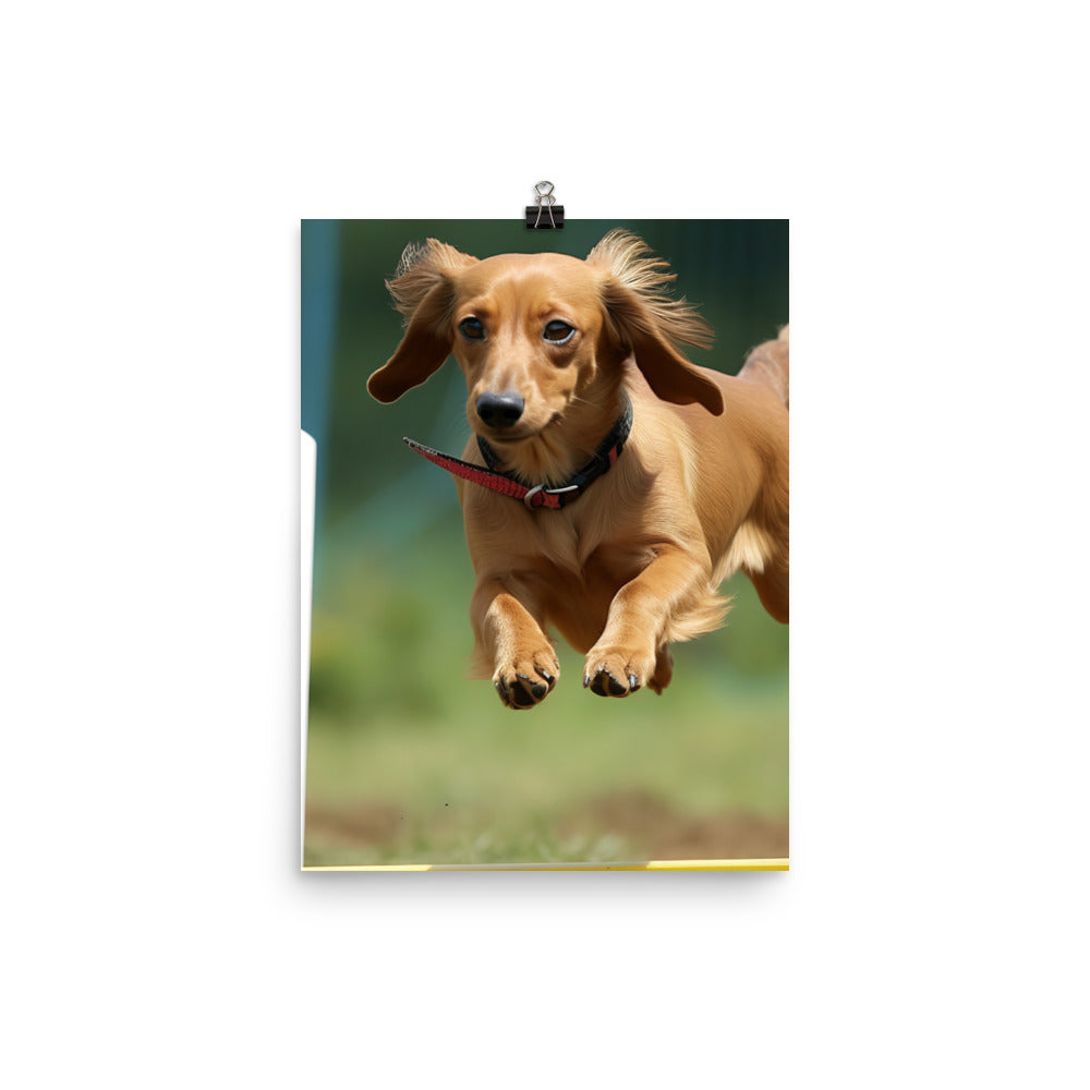 Dachshund Agility Training Photo paper poster - PosterfyAI.com