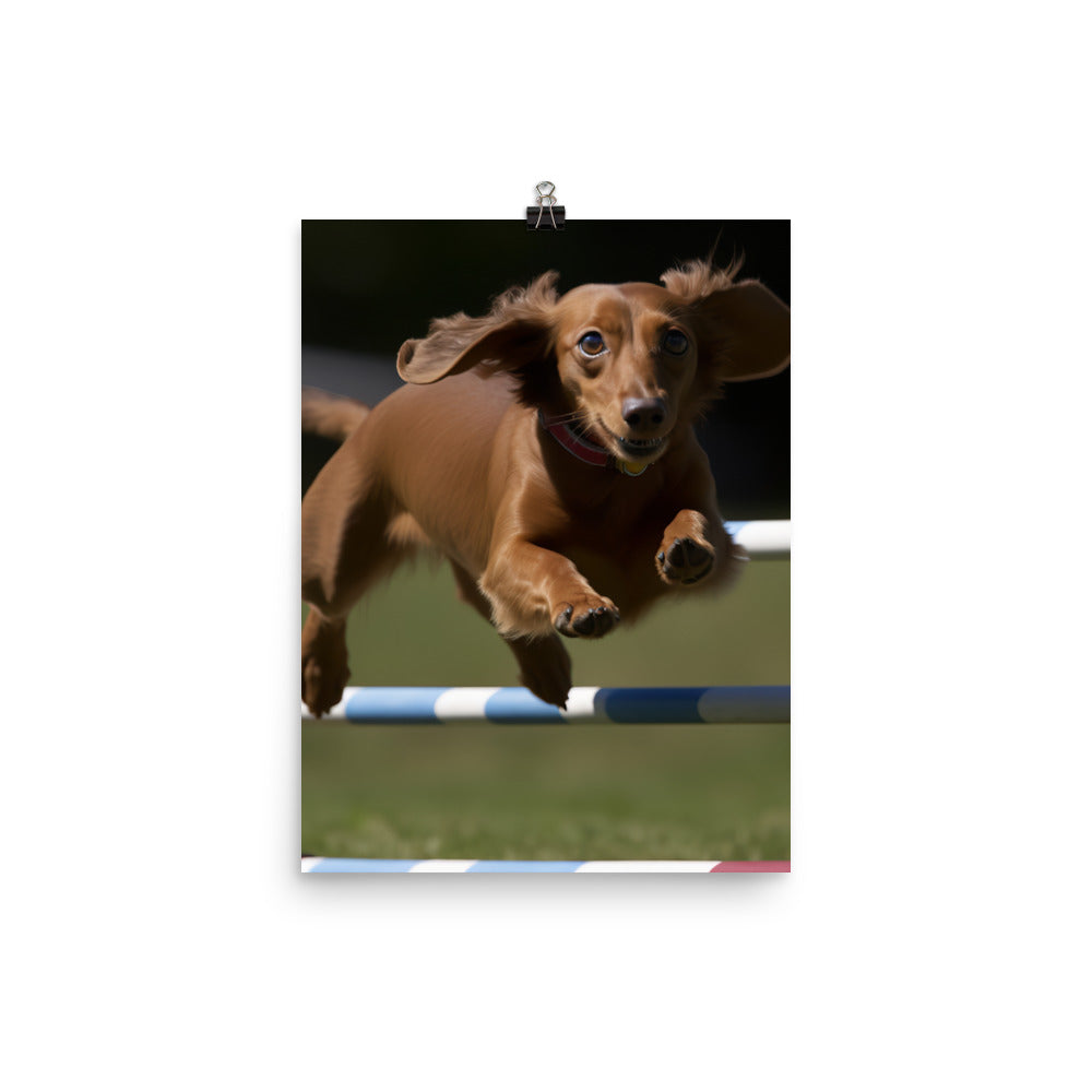 Dachshund Agility Training Photo paper poster - PosterfyAI.com
