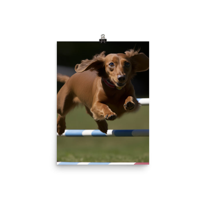 Dachshund Agility Training Photo paper poster - PosterfyAI.com
