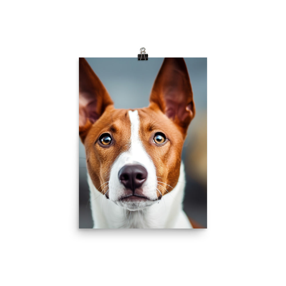 Curious Basenji Photo paper poster - PosterfyAI.com
