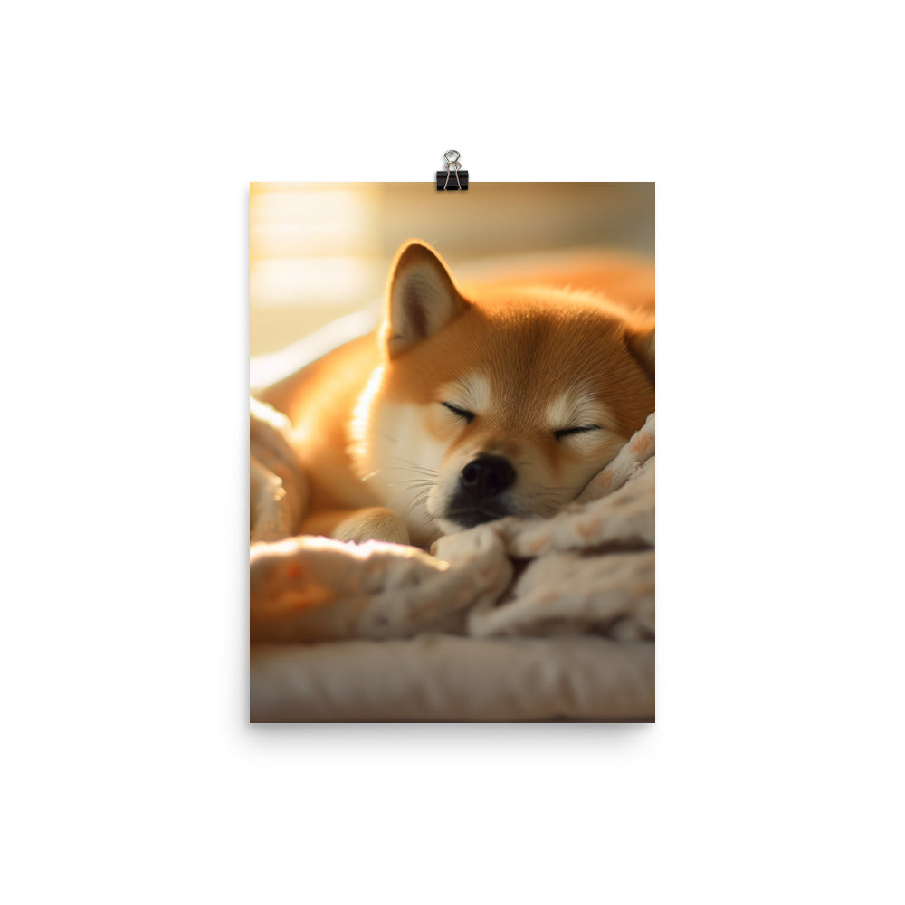 Cuddly Shiba Inu Resting Photo paper poster - PosterfyAI.com