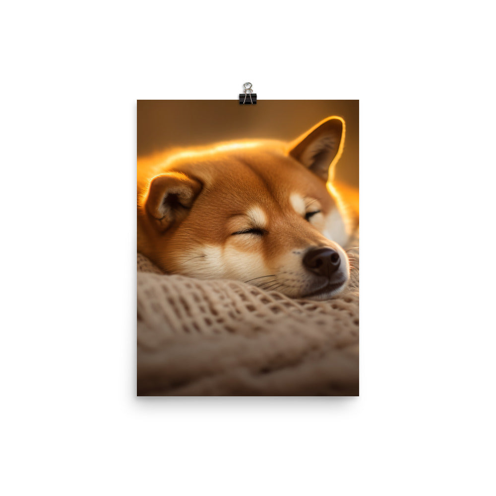 Cuddly Shiba Inu Resting Photo paper poster - PosterfyAI.com