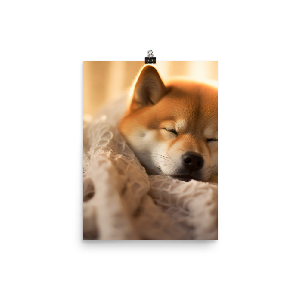 Cuddly Shiba Inu Resting Photo paper poster - PosterfyAI.com