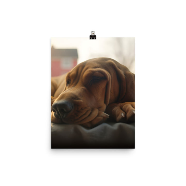 Cuddles with a Bloodhound Photo paper poster - PosterfyAI.com