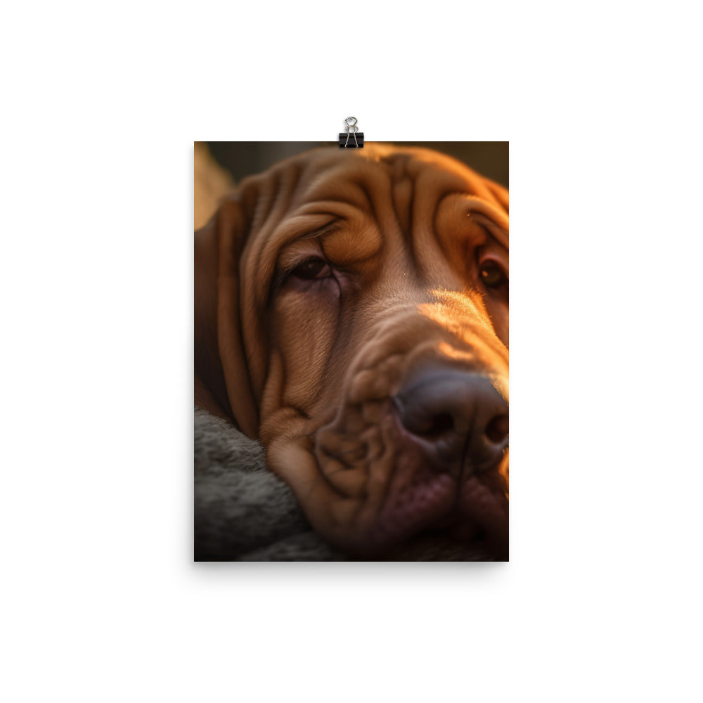 Cuddles with a Bloodhound Photo paper poster - PosterfyAI.com