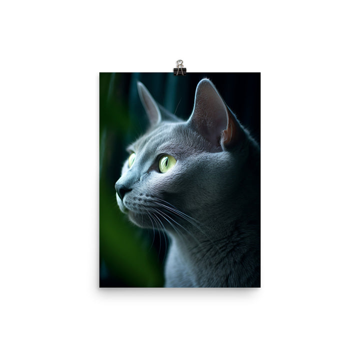 Russian Blue Cat Photo paper poster - PosterfyAI.com