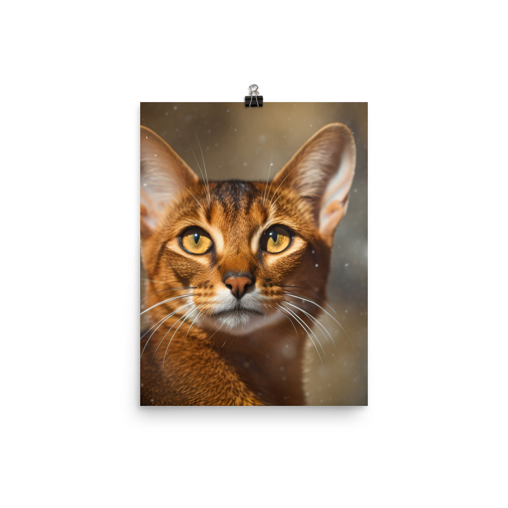 Exotic Beauty of Abyssinian Cat Photo paper poster - PosterfyAI.com