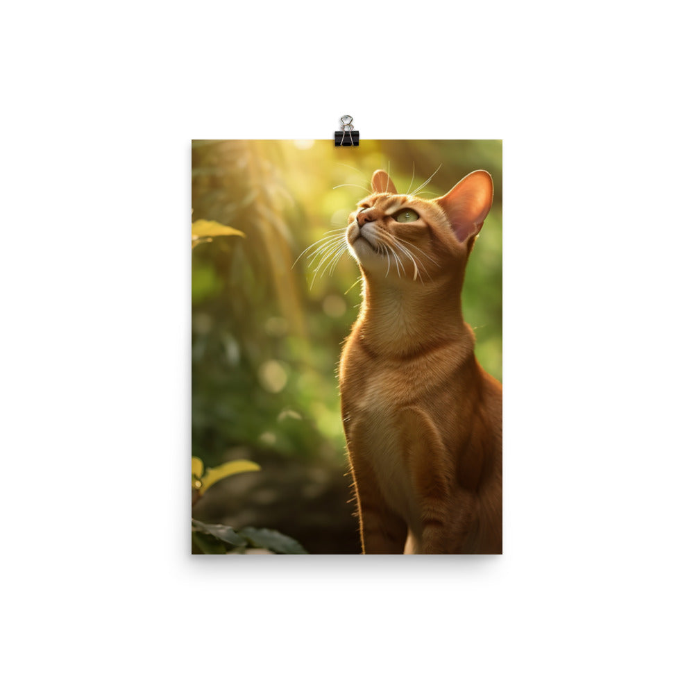 Elegance of Abyssinian Cat Photo paper poster - PosterfyAI.com
