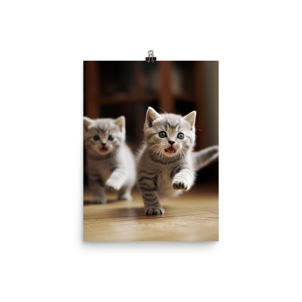 British Shorthair Kittens Photo paper poster - PosterfyAI.com