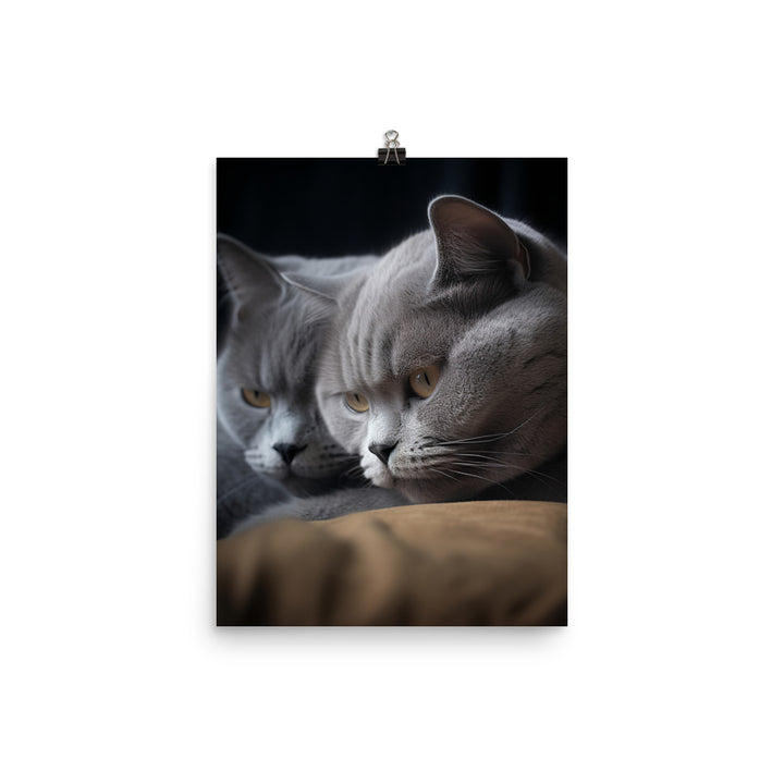 British Shorthair Cat Photo paper poster - PosterfyAI.com