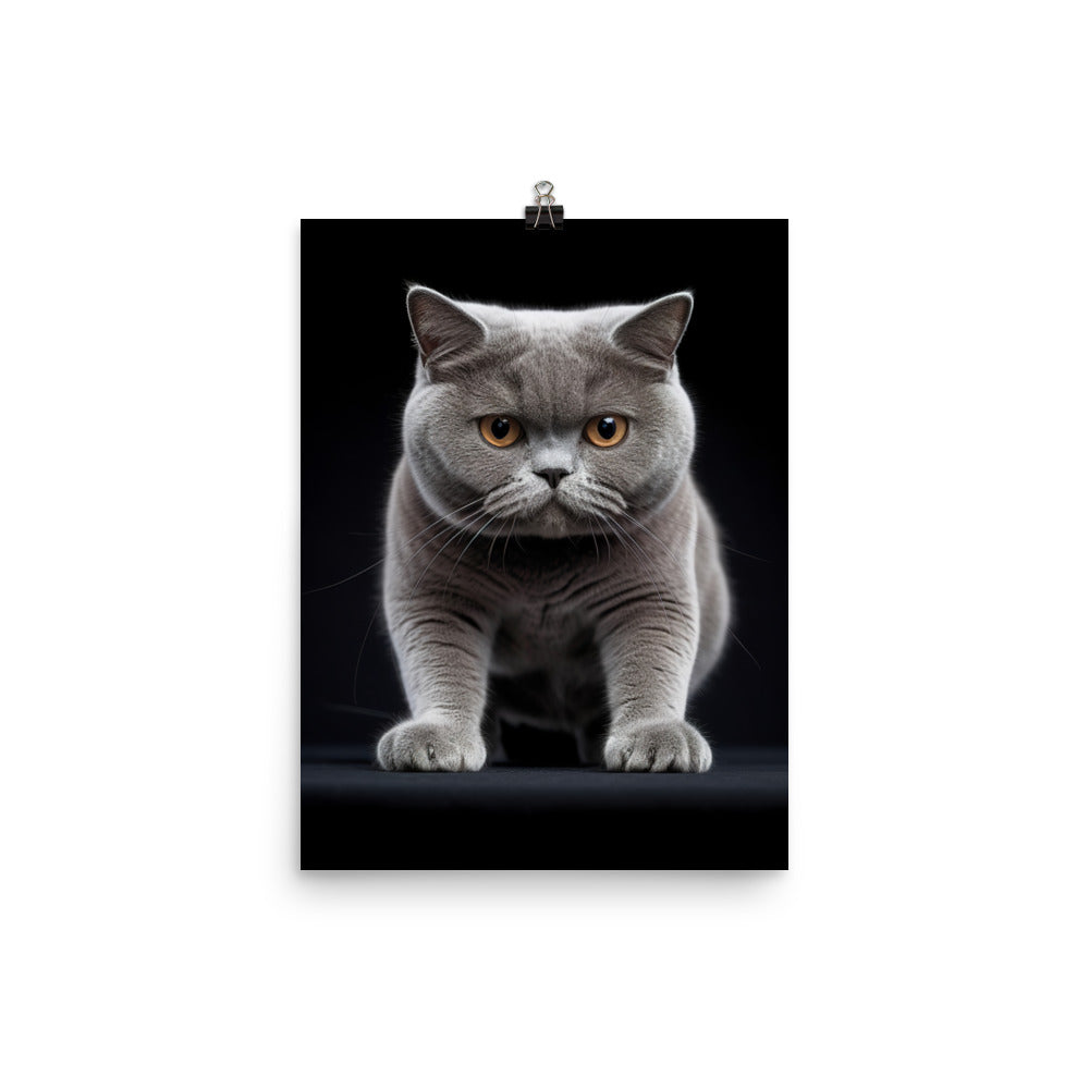 British Shorthair Cat Photo paper poster - PosterfyAI.com