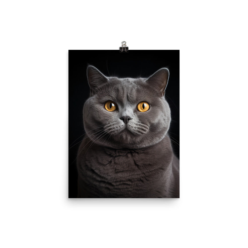 British Shorthair Cat in Portraits Photo paper poster - PosterfyAI.com