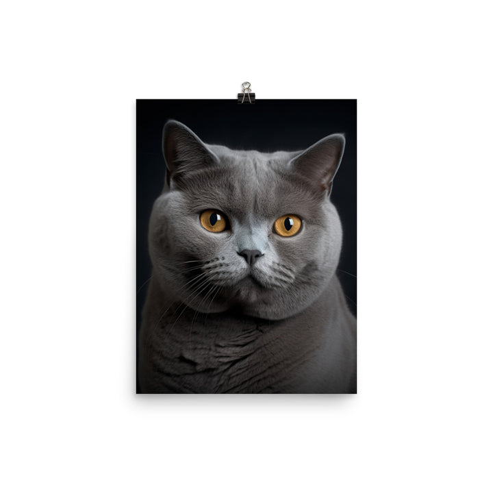 British Shorthair Cat in Portraits Photo paper poster - PosterfyAI.com