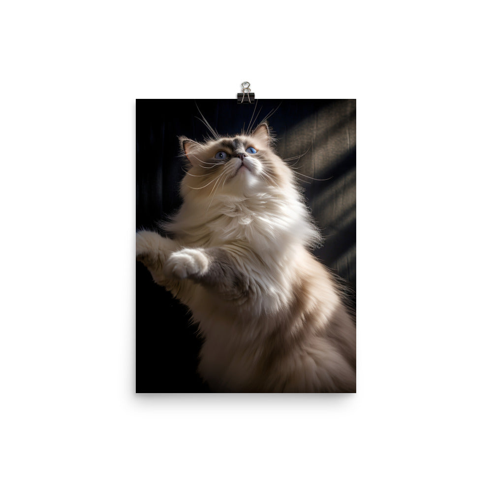 Ragdoll Cat in Motion Photo paper poster - PosterfyAI.com