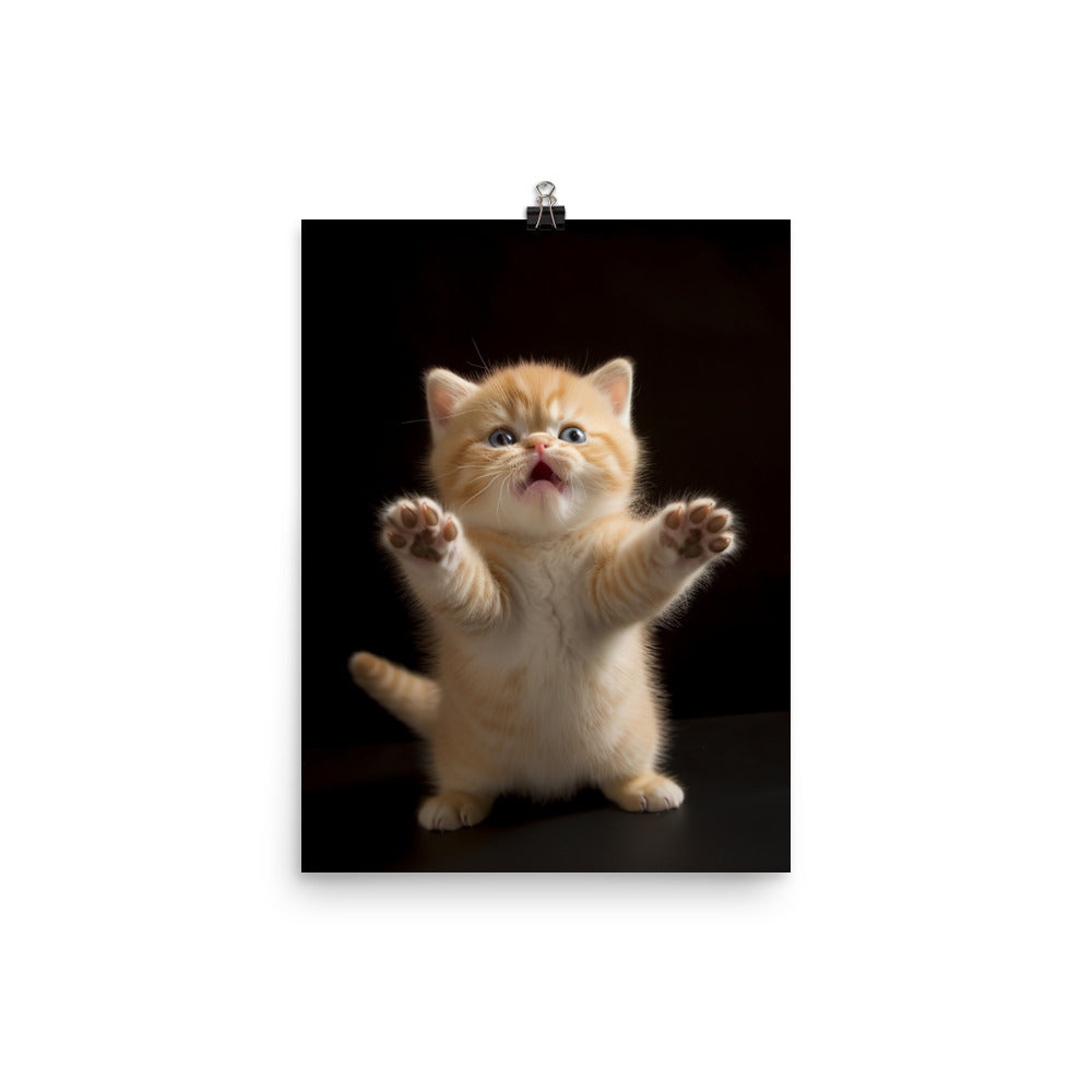 Exotic Shorthair Kitten Photo paper poster - PosterfyAI.com