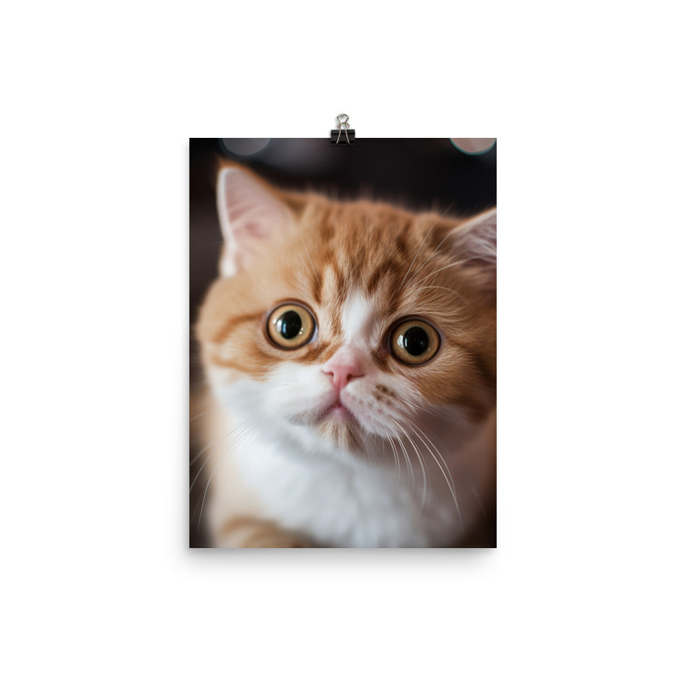Exotic Shorthair Kitten Photo paper poster - PosterfyAI.com
