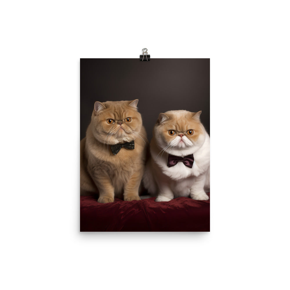 Exotic Shorthair Cat Photo paper poster - PosterfyAI.com
