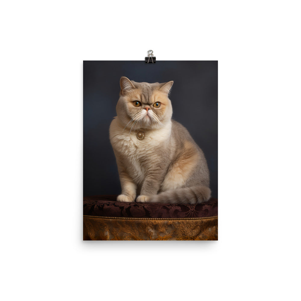 Elegance of Exotic Shorthair Adults Photo paper poster - PosterfyAI.com