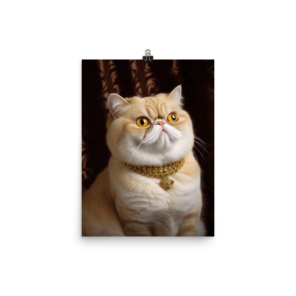 Elegance of Exotic Shorthair Adults Photo paper poster - PosterfyAI.com