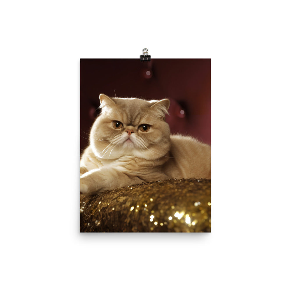 Elegance of Exotic Shorthair Adults Photo paper poster - PosterfyAI.com