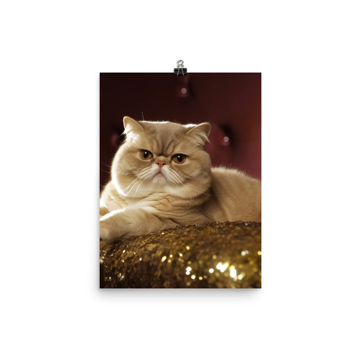 Elegance of Exotic Shorthair Adults Photo paper poster - PosterfyAI.com