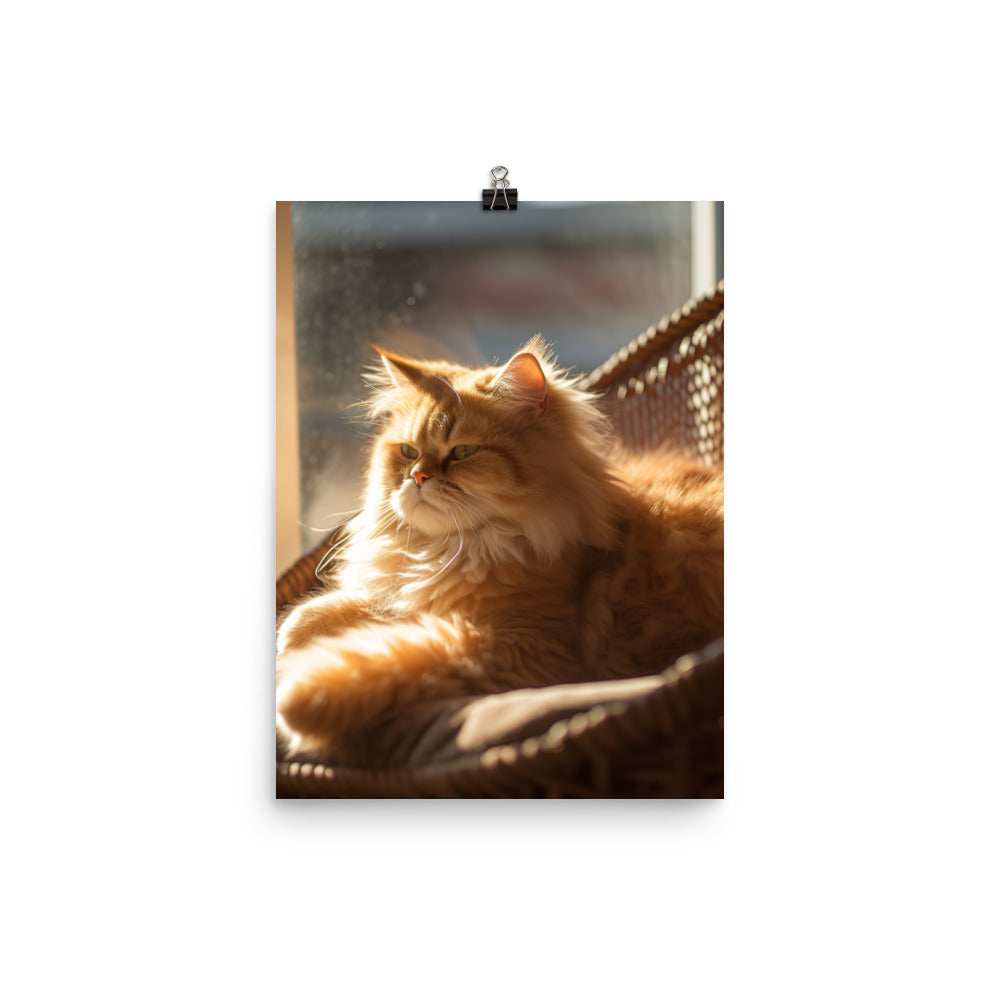 Persian Cat Relaxation Photo paper poster - PosterfyAI.com