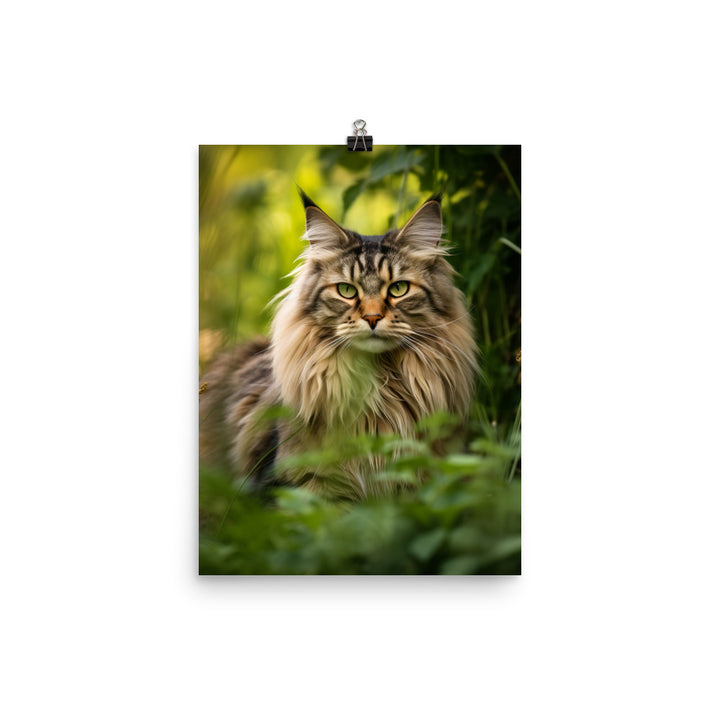 Maine Coon in Natural Habitat Photo paper poster - PosterfyAI.com