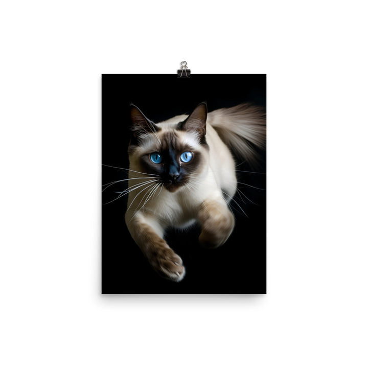 Graceful Siamese in Motion Photo paper poster - PosterfyAI.com