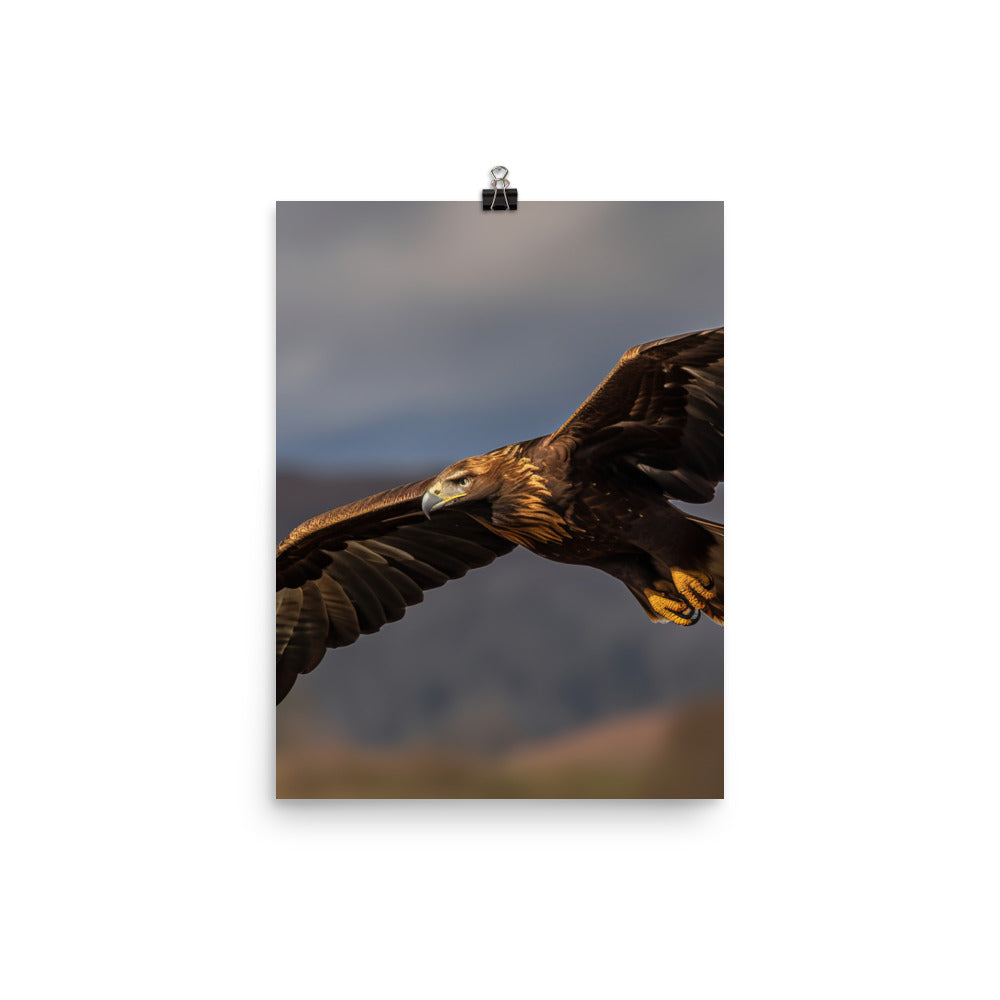 Golden Eagle soaring high in the sky Photo paper poster - PosterfyAI.com