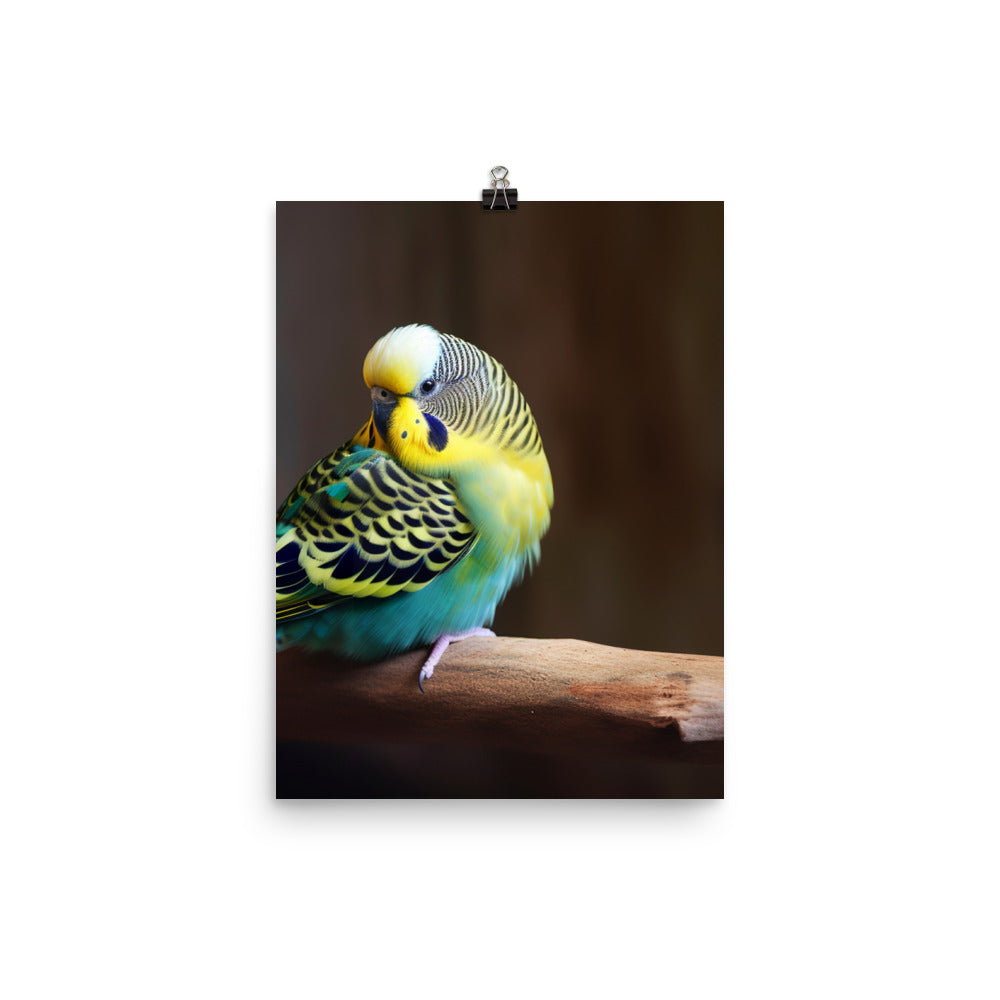 Cheerful Budgie on a Perch Photo paper poster - PosterfyAI.com