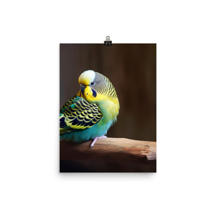 Cheerful Budgie on a Perch Photo paper poster - PosterfyAI.com