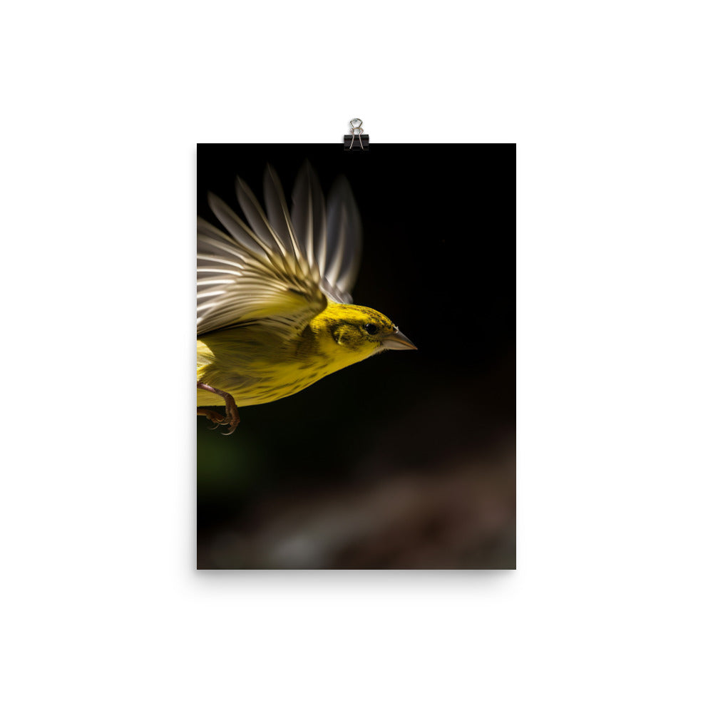 Canary in flight Photo paper poster - PosterfyAI.com