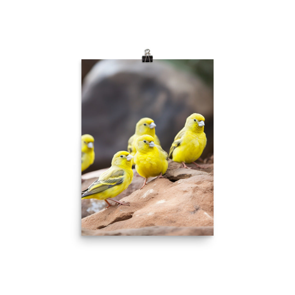 Canaries in a natural habitat Photo paper poster - PosterfyAI.com