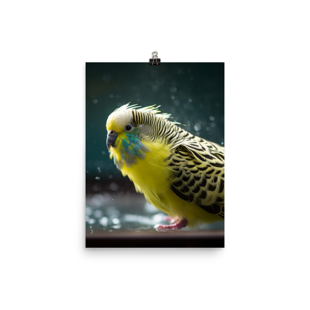 Budgie Taking a Bath Photo paper poster - PosterfyAI.com