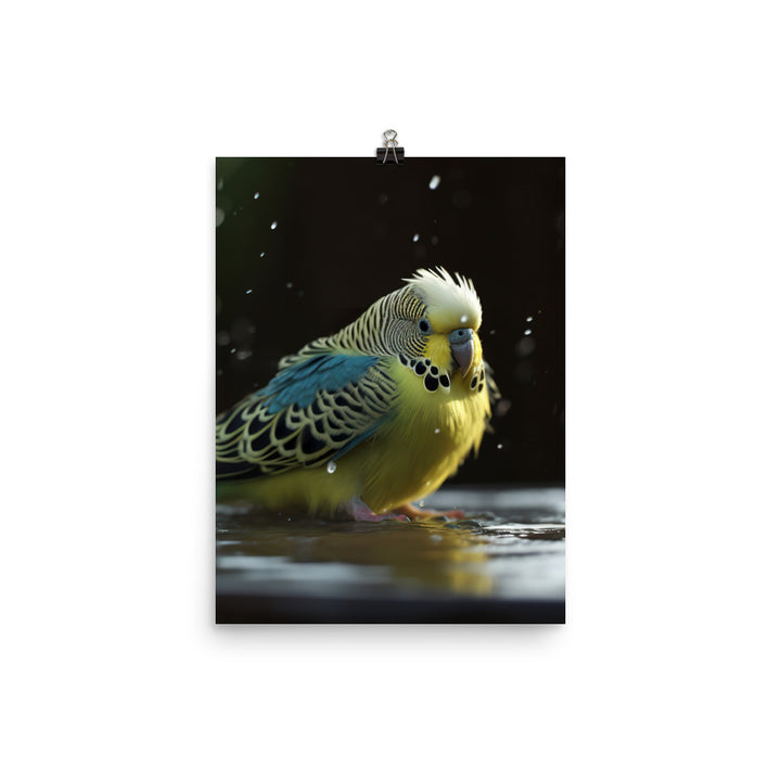 Budgie Taking a Bath Photo paper poster - PosterfyAI.com
