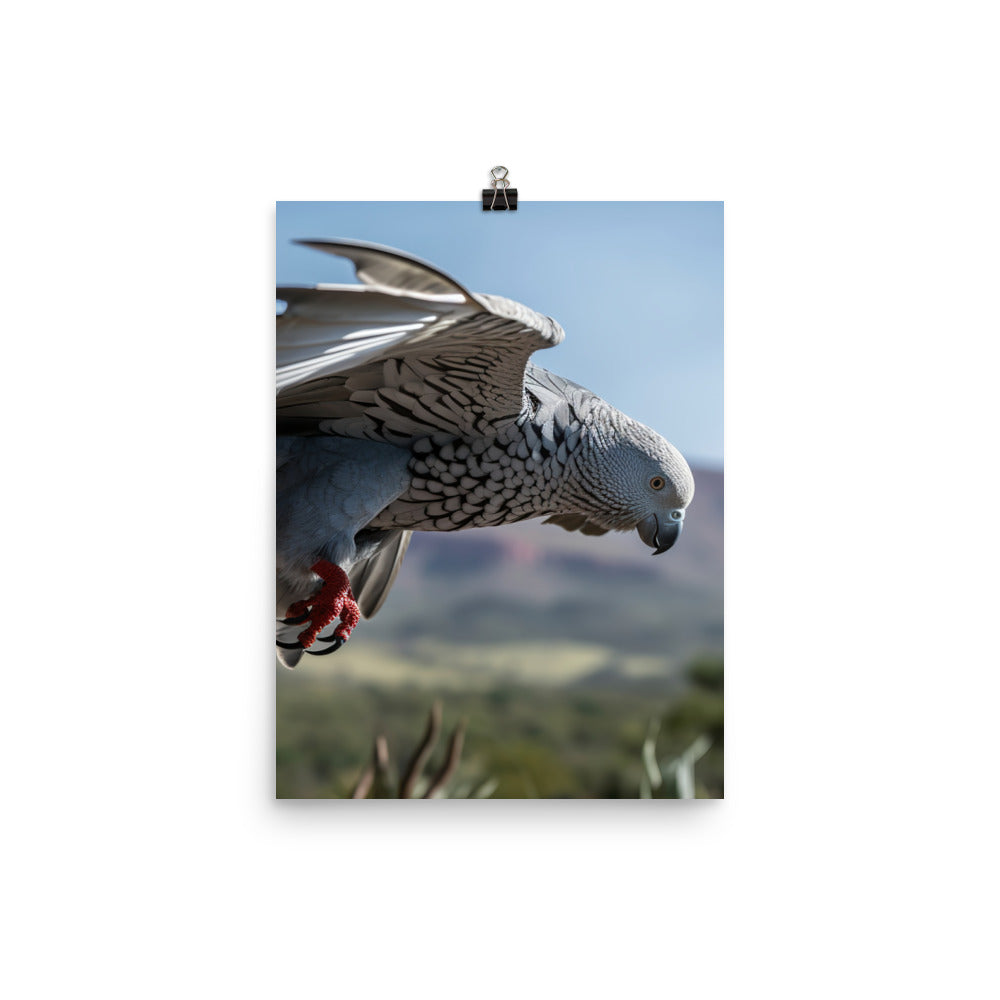 African Grey Parrot in Flight Photo paper poster - PosterfyAI.com