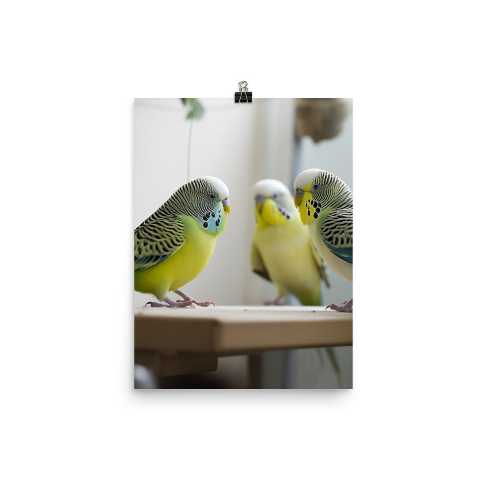 Budgerigar Photo paper poster - PosterfyAI.com