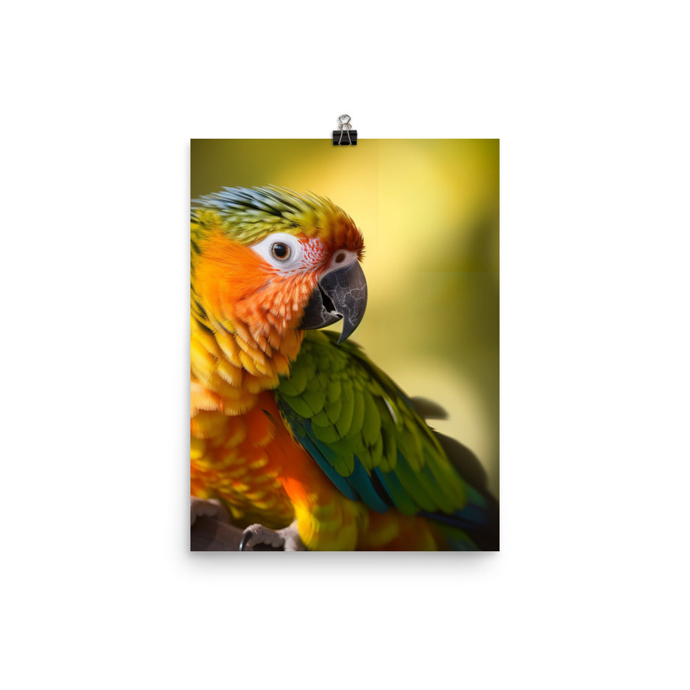 A colorful Conure perched on a branch Photo paper poster - PosterfyAI.com