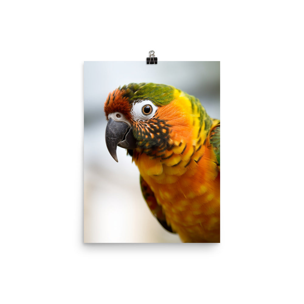 A colorful Conure perched on a branch Photo paper poster - PosterfyAI.com