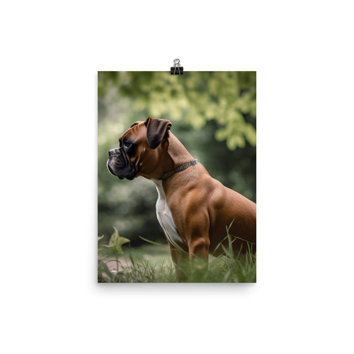 Boxer in the Park Photo paper poster - PosterfyAI.com