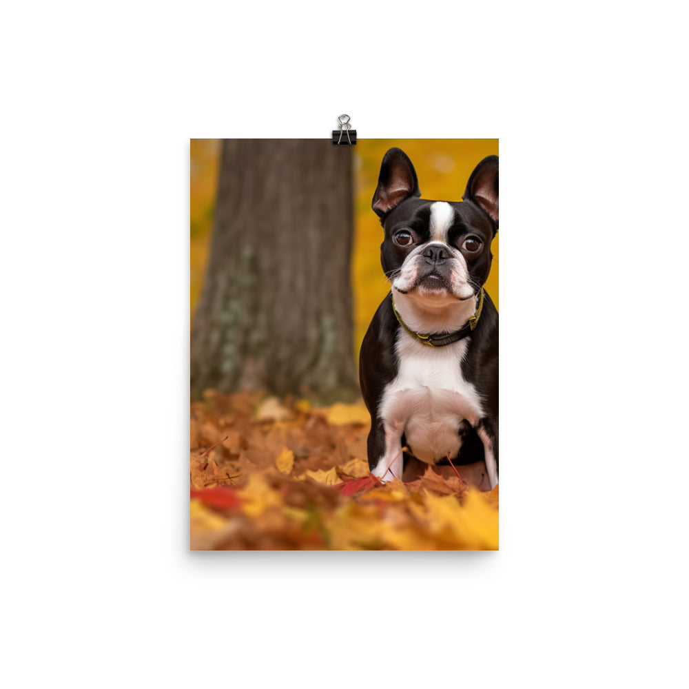Boston Terrier with Fall Colors Photo paper poster - PosterfyAI.com