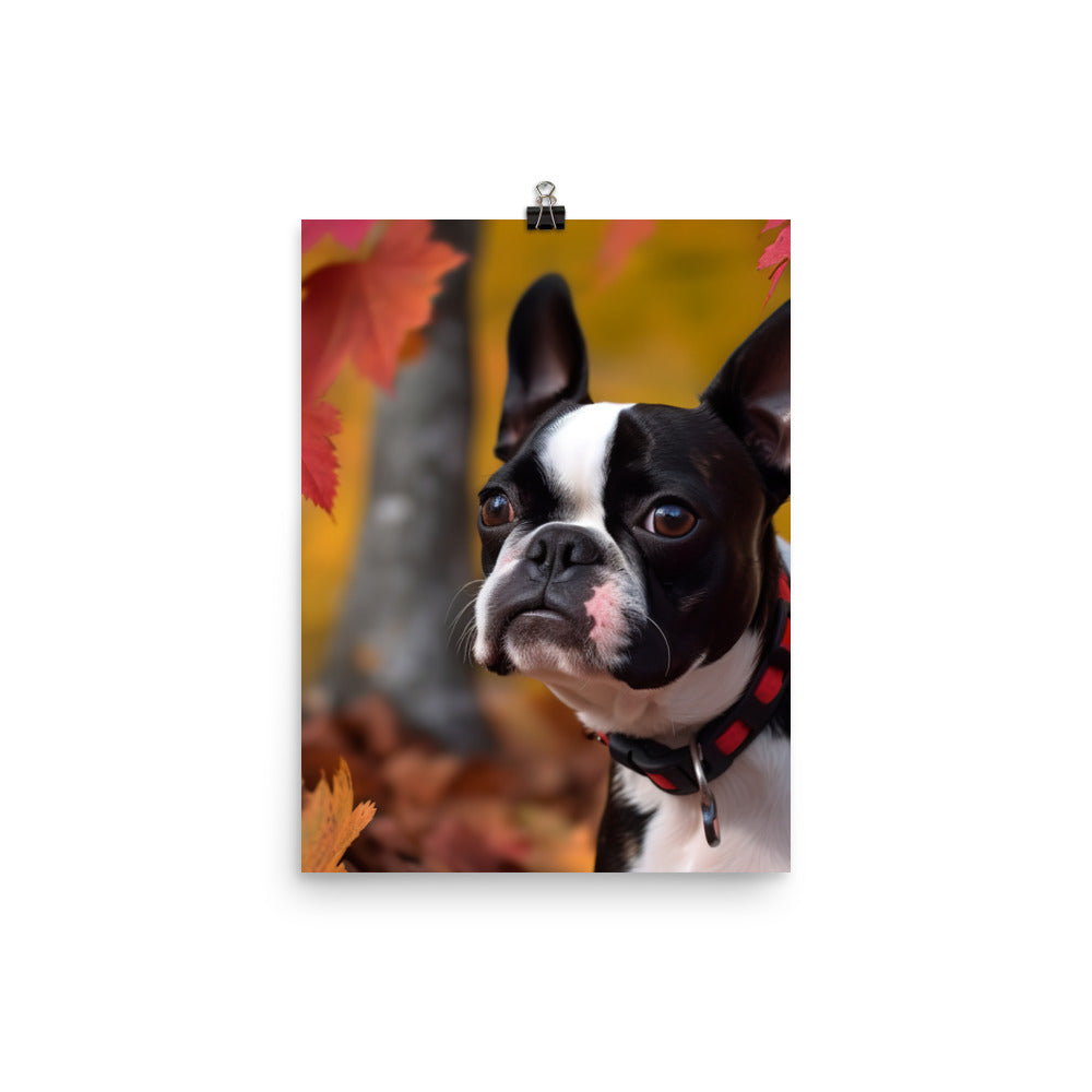 Boston Terrier with Fall Colors Photo paper poster - PosterfyAI.com
