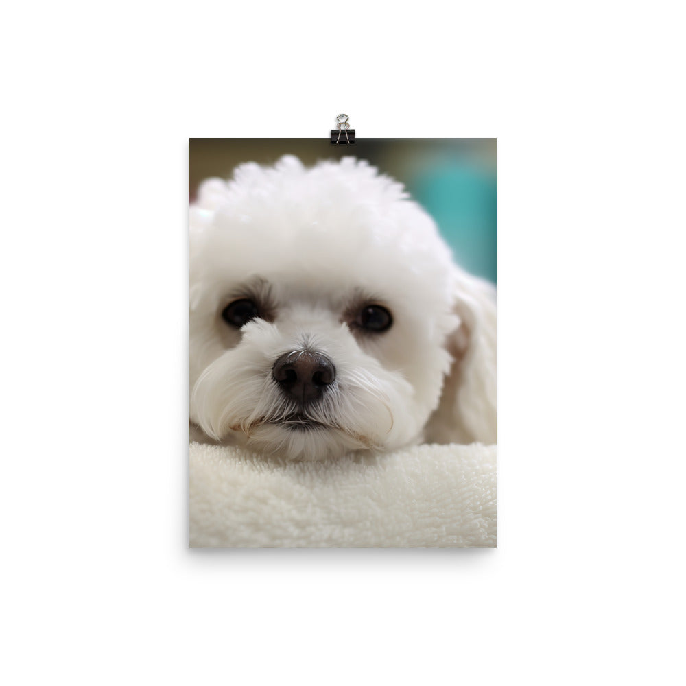Bichon Frise in a Spa Photo paper poster - PosterfyAI.com